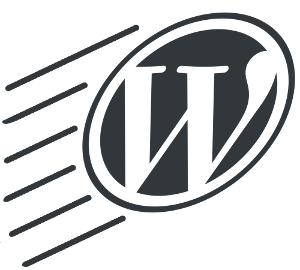 Immagine di Hosting per WordPress ottimizzato